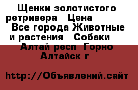 Щенки золотистого ретривера › Цена ­ 15 000 - Все города Животные и растения » Собаки   . Алтай респ.,Горно-Алтайск г.